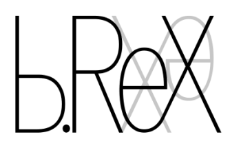 b.ReX GmbH